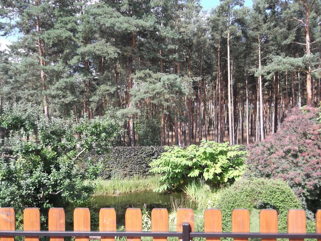 Amselgarten Lübben Exterior foto