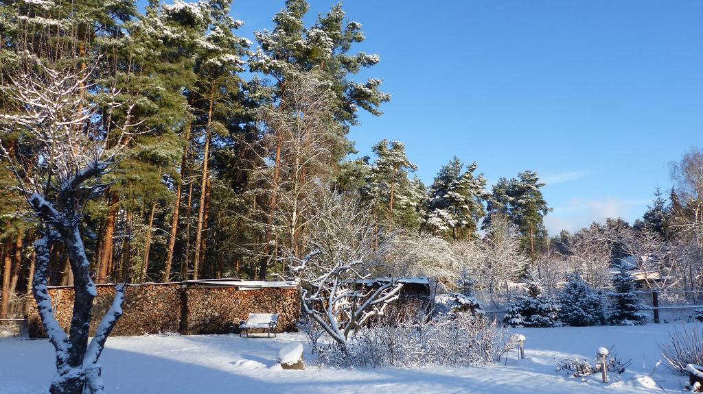Amselgarten Lübben Exterior foto